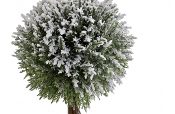 Arbusto con luces nevado